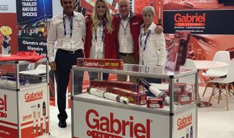 FAMILY TIES STRENGTHEN BRANDLINES