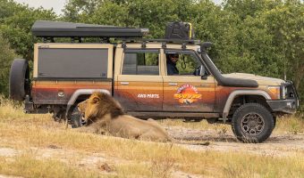 SENSE OF ADVENTURE PAYS DIVIDENDS FOR TERRAIN TAMER